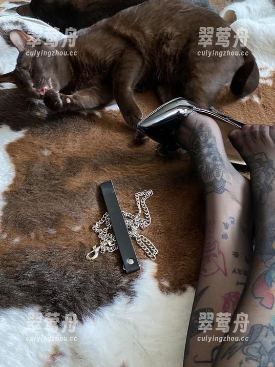 微密圈 - 不得不说，卡通百科老王的镂空资源有种独特的“引力”，让我忍不住想进一步了解。